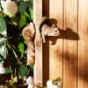 Accent Plus Clever Squirrel Tree Decoration