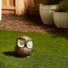 Accent Plus Owl Solar Garden Light - 6 inches