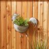 Accent Plus Galvanized Metal Wall Planter - Rooster