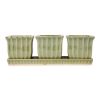 Accent Plus Ceramic Mini Planter Set - Green Square