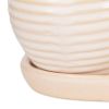 Accent Plus Ceramic Mini Planter Set - Ivory Round