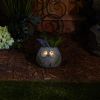 Accent Plus Resin Owl Garden Planter with Solar Light-Up Eyes